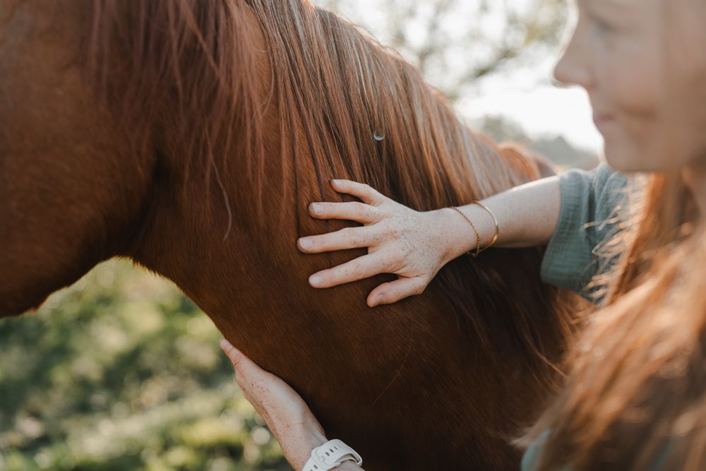 Eine Frau legt ihre Hand auf den Hals eines Pferdes